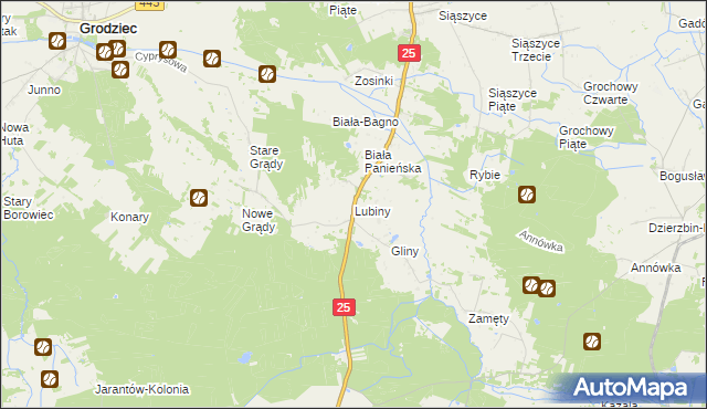 mapa Lubiny gmina Rychwał, Lubiny gmina Rychwał na mapie Targeo