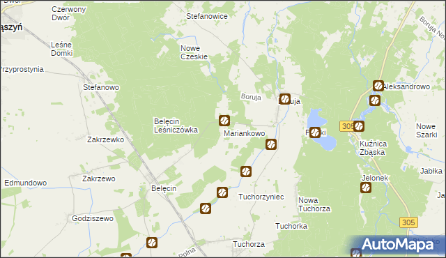 mapa Mariankowo gmina Siedlec, Mariankowo gmina Siedlec na mapie Targeo