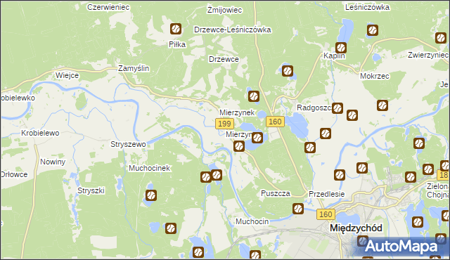 mapa Mierzyn gmina Międzychód, Mierzyn gmina Międzychód na mapie Targeo