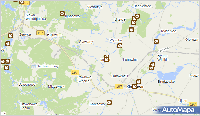 mapa Młynki gmina Skoki, Młynki gmina Skoki na mapie Targeo