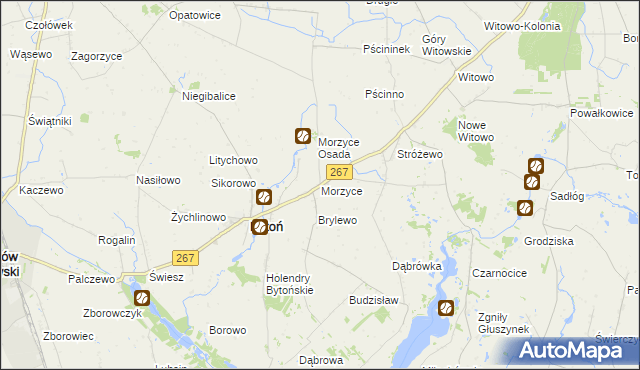 mapa Morzyce gmina Bytoń, Morzyce gmina Bytoń na mapie Targeo