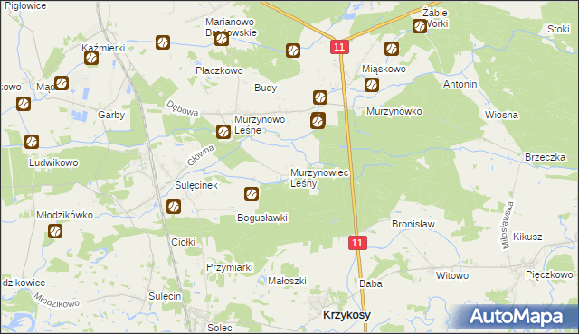 mapa Murzynowiec Leśny, Murzynowiec Leśny na mapie Targeo