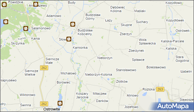 mapa Nieborzyn gmina Kleczew, Nieborzyn gmina Kleczew na mapie Targeo