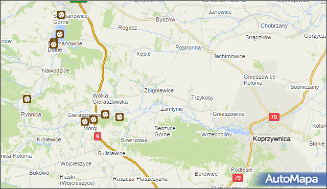 mapa Niedźwice, Niedźwice na mapie Targeo
