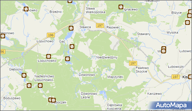 mapa Niedźwiedziny, Niedźwiedziny na mapie Targeo