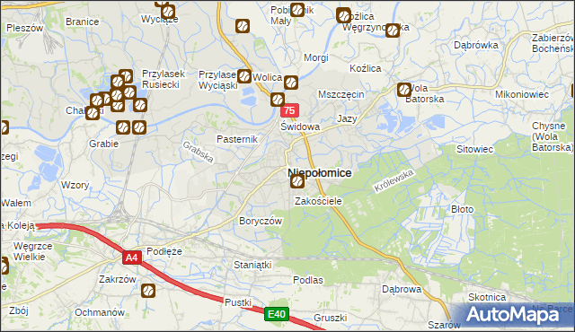 mapa Niepołomice, Niepołomice na mapie Targeo