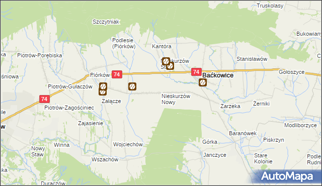 mapa Nieskurzów Nowy, Nieskurzów Nowy na mapie Targeo