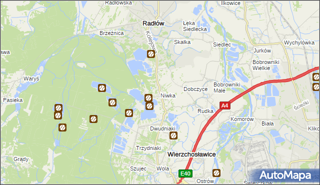 mapa Niwka gmina Radłów, Niwka gmina Radłów na mapie Targeo