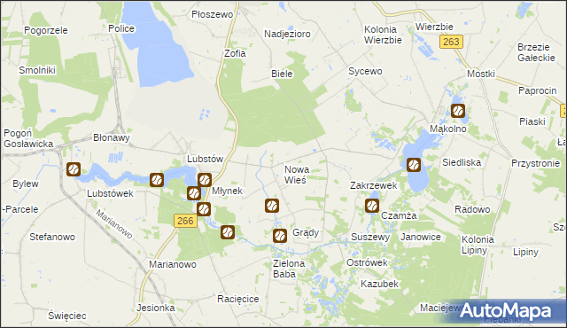 mapa Nowa Wieś gmina Sompolno, Nowa Wieś gmina Sompolno na mapie Targeo