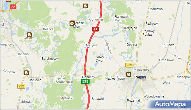 mapa Nowy Dwór gmina Pelplin, Nowy Dwór gmina Pelplin na mapie Targeo