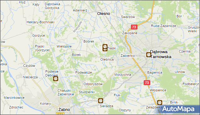 mapa Oleśnica gmina Olesno, Oleśnica gmina Olesno na mapie Targeo