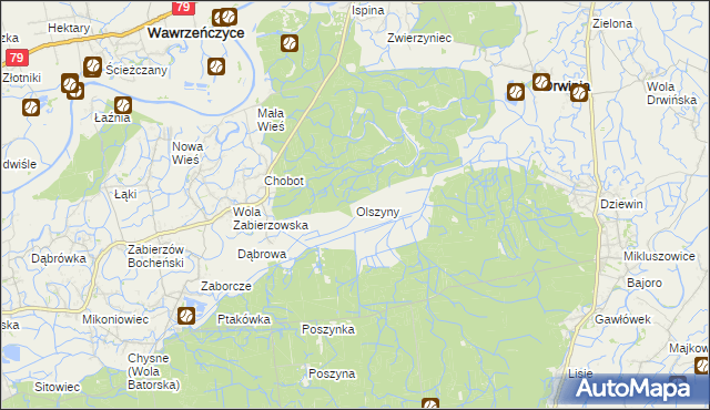 mapa Olszyny gmina Drwinia, Olszyny gmina Drwinia na mapie Targeo