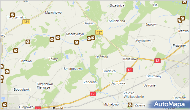 mapa Osówiec gmina Borek Wielkopolski, Osówiec gmina Borek Wielkopolski na mapie Targeo