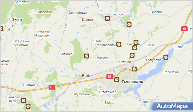 mapa Pasieka gmina Trzemeszno, Pasieka gmina Trzemeszno na mapie Targeo