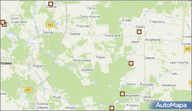 mapa Patoki gmina Widawa, Patoki gmina Widawa na mapie Targeo