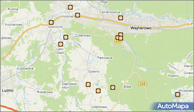 mapa Pętkowice gmina Wejherowo, Pętkowice gmina Wejherowo na mapie Targeo