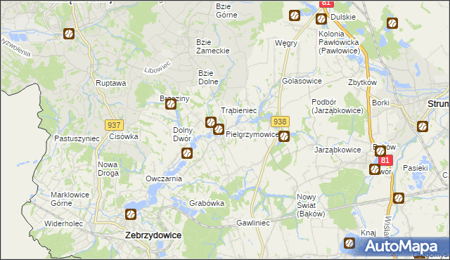 mapa Pielgrzymowice gmina Pawłowice, Pielgrzymowice gmina Pawłowice na mapie Targeo