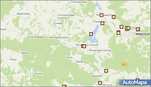 mapa Pokaniewo-Kolonia, Pokaniewo-Kolonia na mapie Targeo