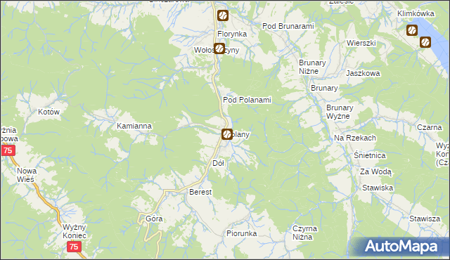 mapa Polany gmina Krynica-Zdrój, Polany gmina Krynica-Zdrój na mapie Targeo