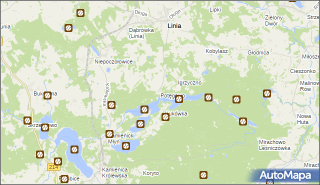 mapa Potęgowo gmina Linia, Potęgowo gmina Linia na mapie Targeo