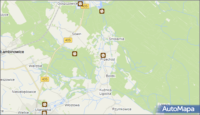 mapa Przechód gmina Korfantów, Przechód gmina Korfantów na mapie Targeo