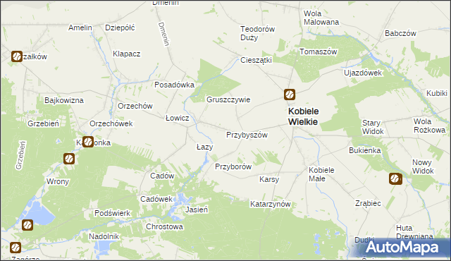 mapa Przybyszów gmina Kobiele Wielkie, Przybyszów gmina Kobiele Wielkie na mapie Targeo