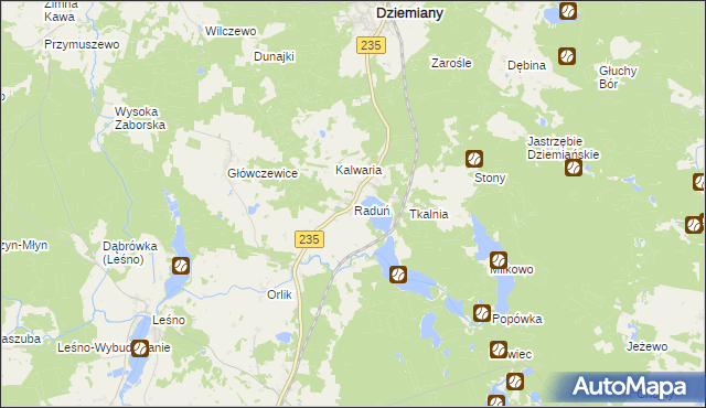 mapa Raduń gmina Dziemiany, Raduń gmina Dziemiany na mapie Targeo