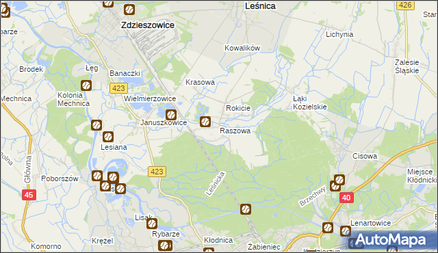 mapa Raszowa gmina Leśnica, Raszowa gmina Leśnica na mapie Targeo