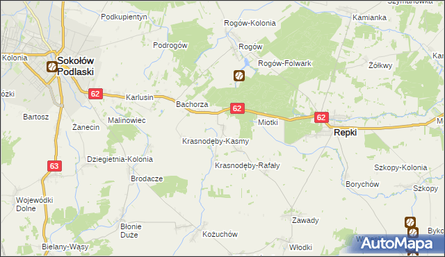 mapa Remiszew Duży, Remiszew Duży na mapie Targeo