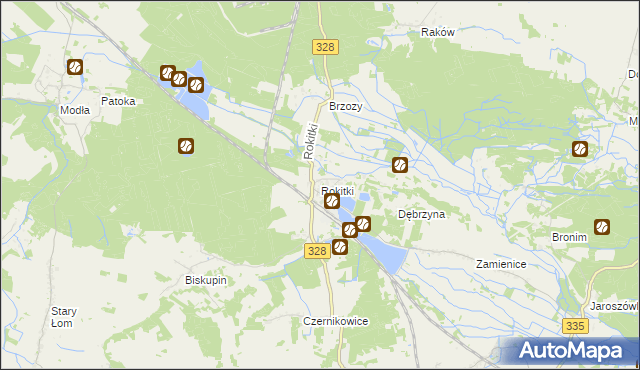 mapa Rokitki gmina Chojnów, Rokitki gmina Chojnów na mapie Targeo