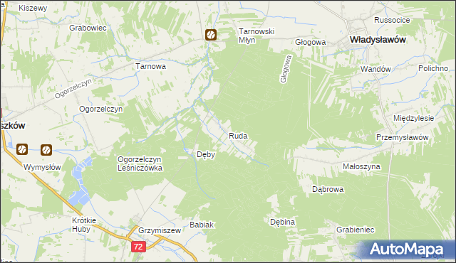 mapa Ruda gmina Tuliszków, Ruda gmina Tuliszków na mapie Targeo