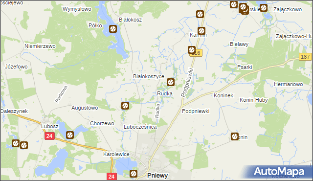 mapa Rudka gmina Pniewy, Rudka gmina Pniewy na mapie Targeo