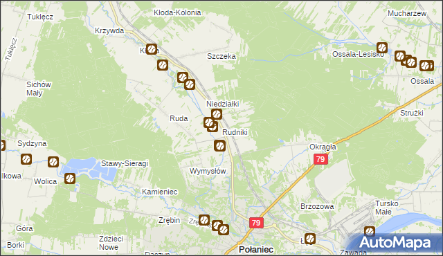 mapa Rudniki gmina Połaniec, Rudniki gmina Połaniec na mapie Targeo