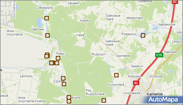 mapa Ruszczyn, Ruszczyn na mapie Targeo