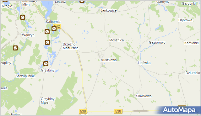mapa Ruszkowo gmina Działdowo, Ruszkowo gmina Działdowo na mapie Targeo