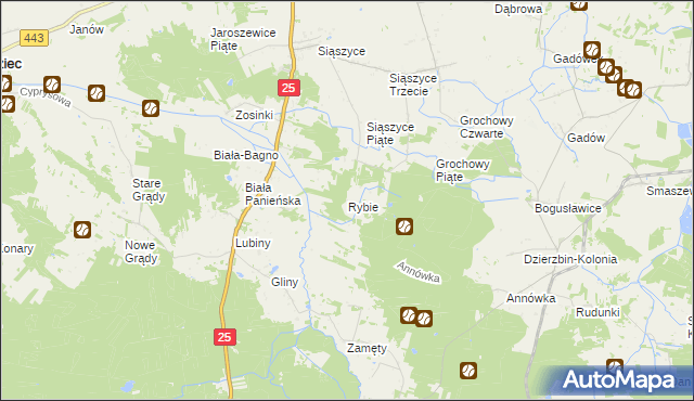 mapa Rybie gmina Rychwał, Rybie gmina Rychwał na mapie Targeo