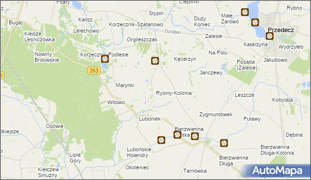 mapa Rysiny-Kolonia, Rysiny-Kolonia na mapie Targeo