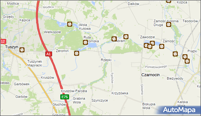 mapa Rzepki gmina Czarnocin, Rzepki gmina Czarnocin na mapie Targeo