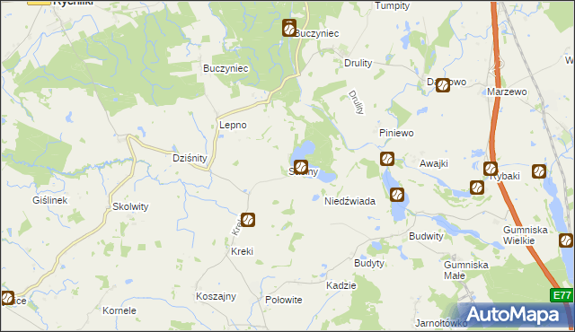 mapa Sasiny gmina Małdyty, Sasiny gmina Małdyty na mapie Targeo