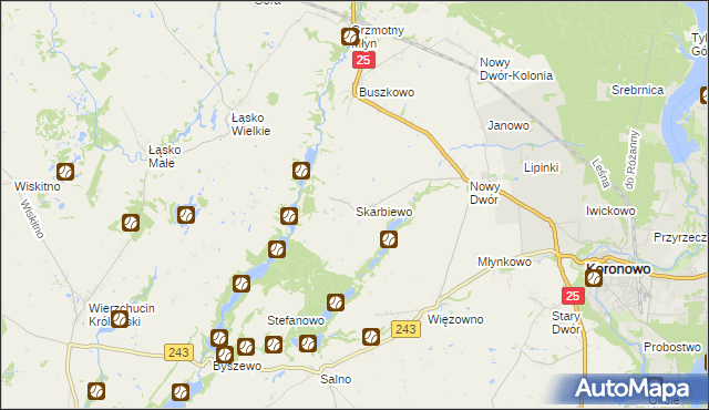 mapa Skarbiewo, Skarbiewo na mapie Targeo