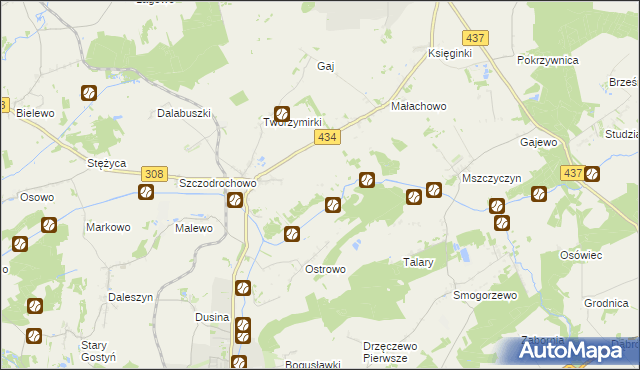 mapa Skowronki gmina Gostyń, Skowronki gmina Gostyń na mapie Targeo