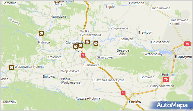 mapa Skwirzowa, Skwirzowa na mapie Targeo