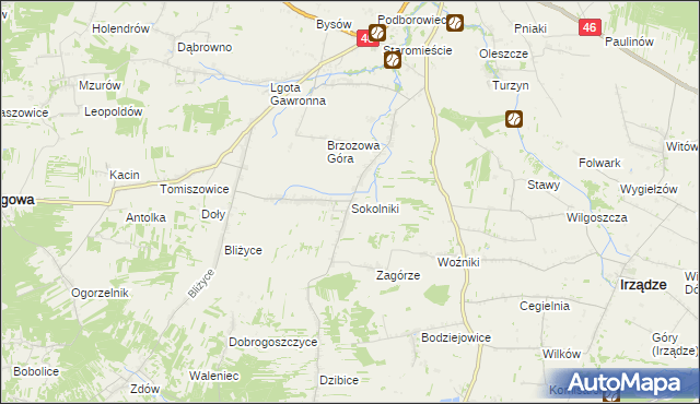 mapa Sokolniki gmina Niegowa, Sokolniki gmina Niegowa na mapie Targeo