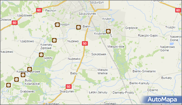 mapa Sokołówek gmina Ciechanów, Sokołówek gmina Ciechanów na mapie Targeo