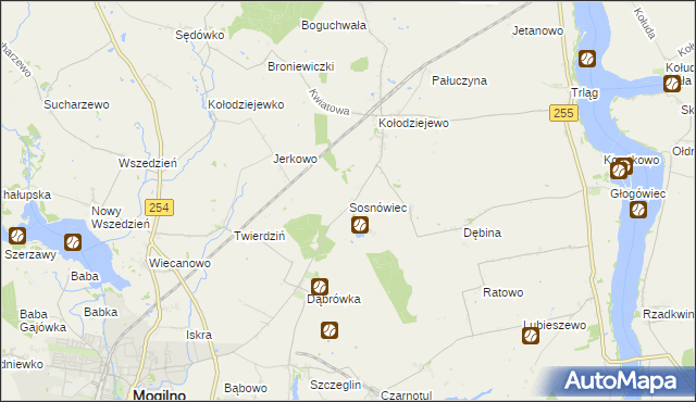 mapa Sosnowca, Sosnówiec na mapie Targeo