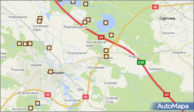 mapa Sosnówka gmina Niemodlin, Sosnówka gmina Niemodlin na mapie Targeo