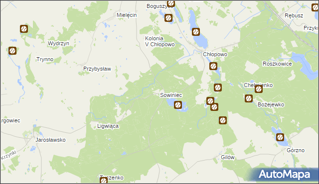 mapa Sowiniec gmina Krzęcin, Sowiniec gmina Krzęcin na mapie Targeo