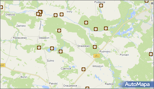 mapa Stradzewo gmina Choszczno, Stradzewo gmina Choszczno na mapie Targeo