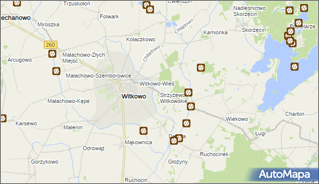 mapa Strzyżewo Witkowskie, Strzyżewo Witkowskie na mapie Targeo