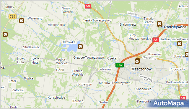 mapa Świnice gmina Mszczonów, Świnice gmina Mszczonów na mapie Targeo